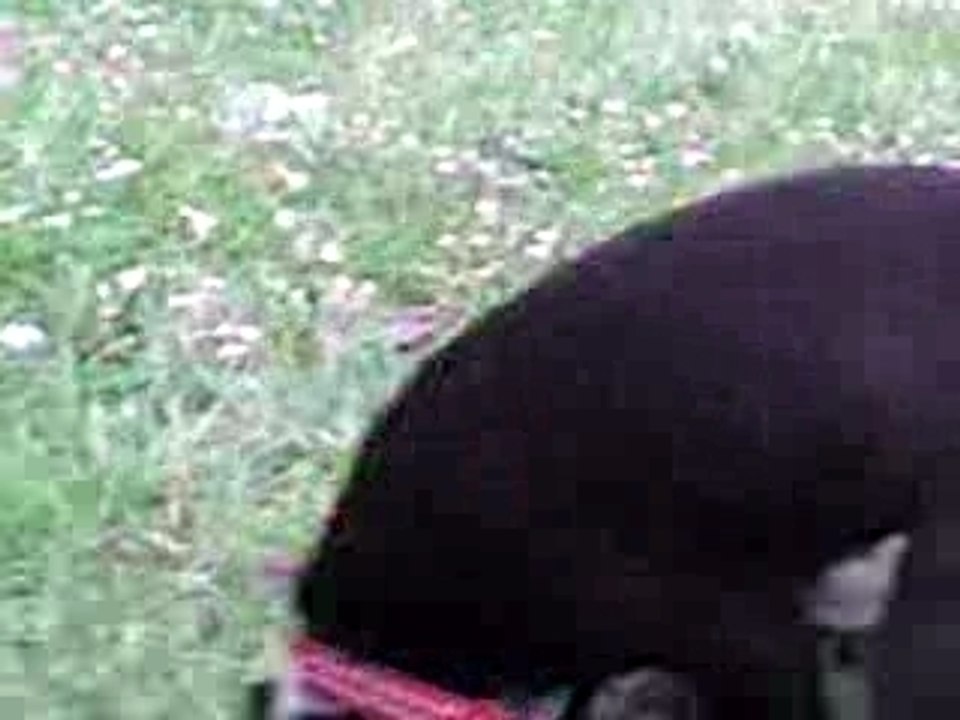 MOV00003