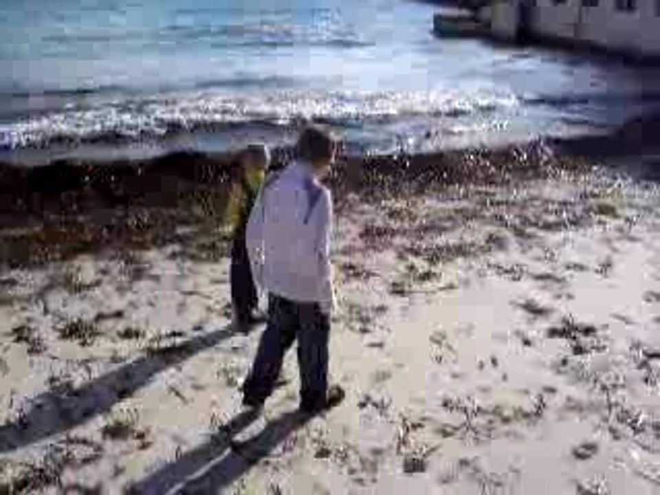 Marseille-Calanque de Sormiou à Noël 2007