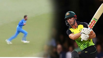 India vs Australia 2nd T20 : Kuranl Pandya takes a running catch, Khaleel gets Lynn | वनइंडिया हिंदी