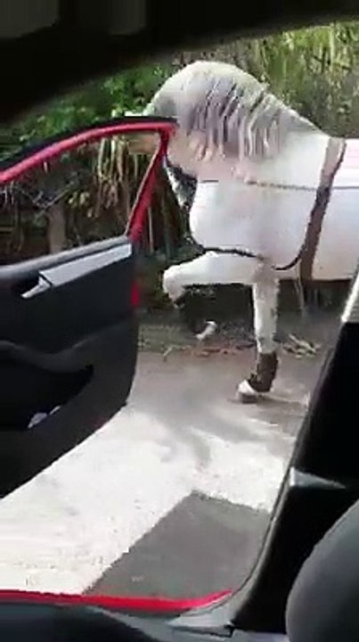 Nice hours dance