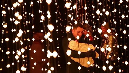 Angleterre : toute la magie de Noël à Kew Gardens