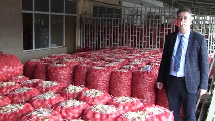 Ziraat Odası'ndan Soğan Stoğu Açıklaması: "Stokçuluk Değil Depoculuk Yapıyoruz"