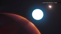 Planet Discovered with Three Suns is Unlike Any Known World
