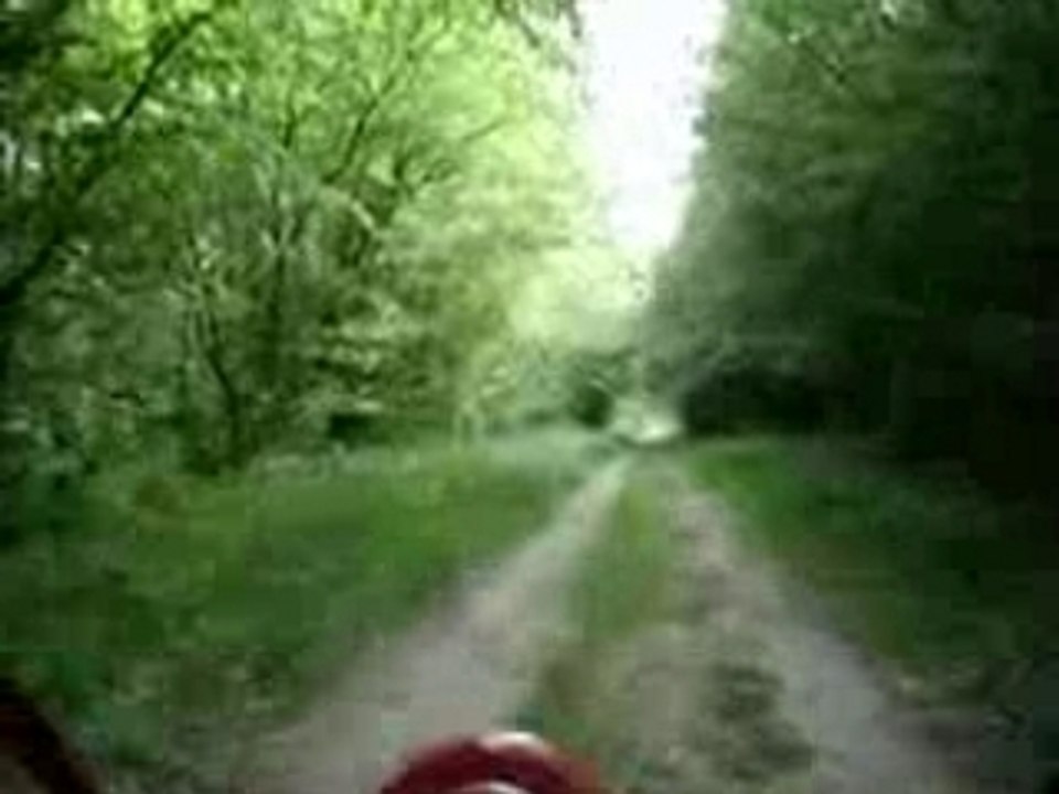 Sortie buxter forêt St Isabelle