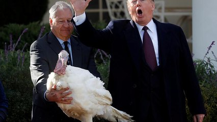 No Comment: главное за неделю