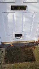 Un chien ne veut pas de publicité dans la boite à lettres