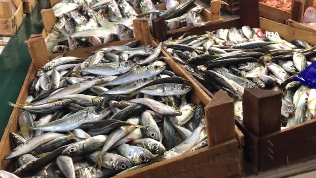 Polisten Balıkçı Avı...bu Kez Balıkçılar Avlandı