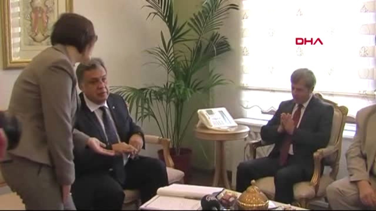Karlov Arşiv