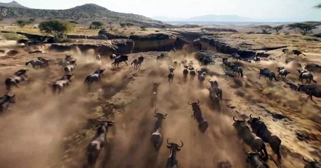 O Rei Leão - Primeiro trailer - 2019 nos cinemas