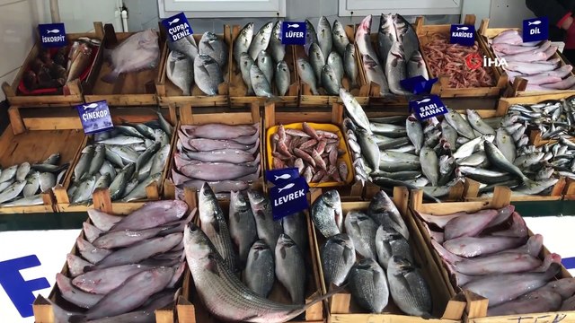 Polisten Balıkçı Avı...Bu Kez Balıkçılar Avlandı