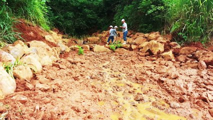 O papel das empresas na sustentabilidade