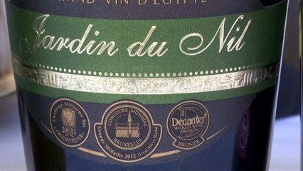 كروم النيل تعتمد الموروث الفرعوني لتطوير صناعة النبيذ من عنب البناتي