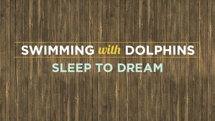 Swimming With Dolphins - Sleep To Dream