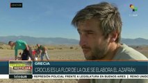 Griegos encuentran en el cultivo de azafrán una alternativa económica