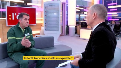 Philippe Canal sur l'industrialisation des forêts: "L'augmentation de la récolte du bois est excessive"