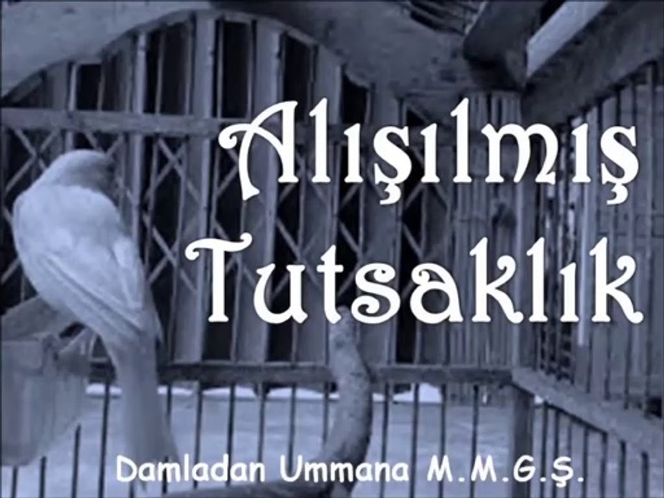 Alışılmış Tutsaklık Mustafa Murat Güngör Şiir Dinletisi