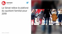 Budget 2019. Le Sénat relève le plafond du quotient familial.