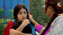 Baandi Episode #10 HUM TV Drama 23 November 2018