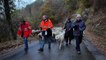 Cessieu : 450 moutons défilent dans le village