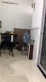 Dog Opens the Door