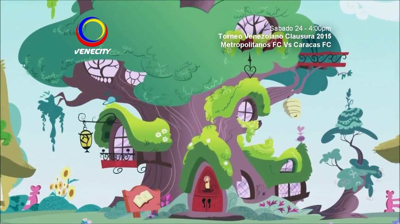 Tanda 30 de Venecity 22-01-2015