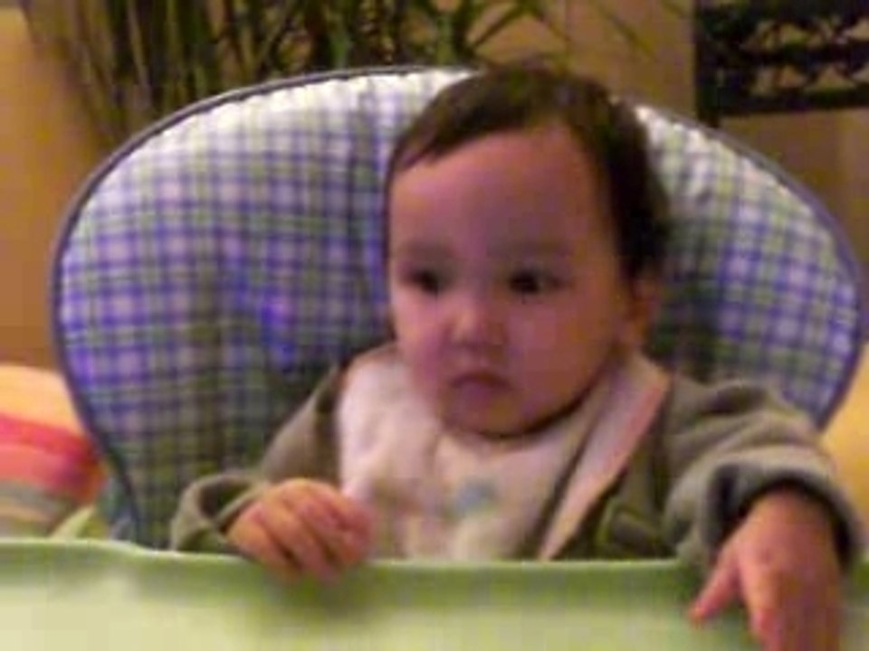 devant petit ours brun