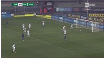 Hellas Verona - Palermo 1-0 GOAL DI CARMINE 23-11-2018