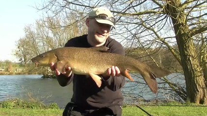 Spring After-Work Session - Big Barbel - 24-3-17 (Video 13)