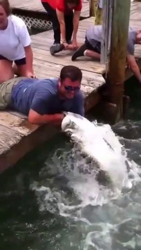Ce pecheur se fait avaler le bras par un poisson enorme