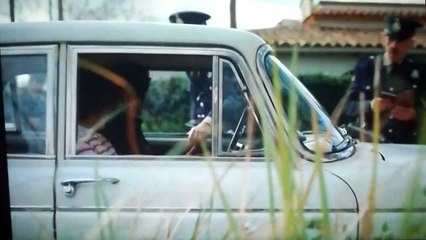 ° El extraño de pelo largo °