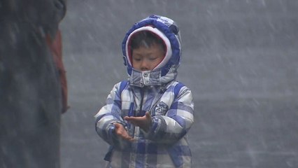 [날씨] 서울·경기 북부 대설주의보...서울 첫눈 / YTN