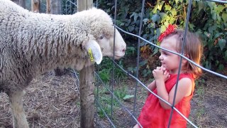 Funny Baby and Goat - Cute Baby and Animals Compilation