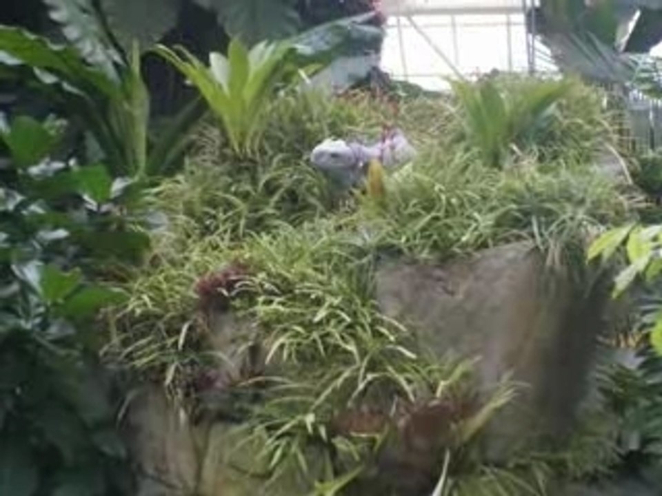 parc phoenix