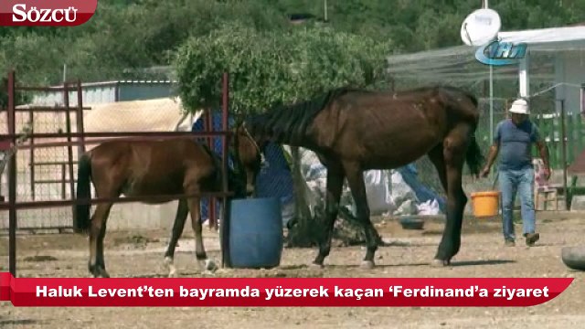 Haluk Levent dana Ferdinand’ı ziyaret etti