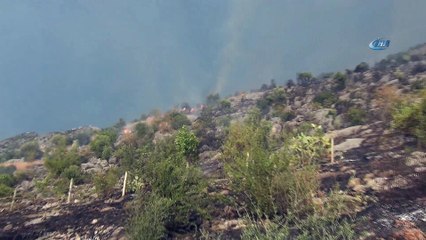 Tarihi Kozan Kalesi’nde orman yangını
