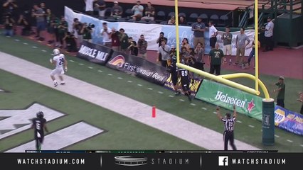 Rice vs Hawaii Football Highlights (2018)
