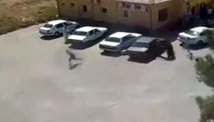 Şanlıurfa'daki 'Kan Davası' Cinayeti Kamerada