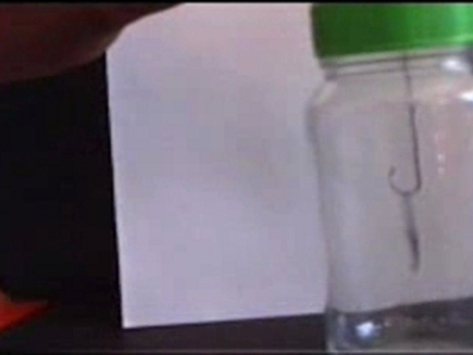 Electroscopio2
