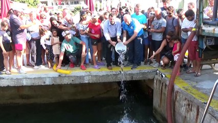 Bodrum'da 35 bin levrek yavrusu denize bırakıldı - MUĞLA