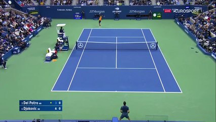 Une défense de fer, une finition d'extraterrestre : Djokovic a dégoûté Del Potro