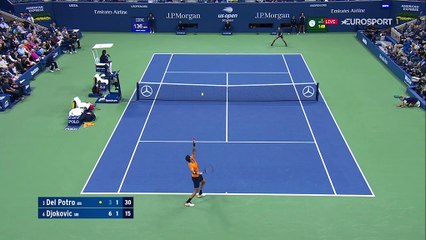 Malgré son somptueux tweener, Del Potro a encore plié face à la bête Djokovic