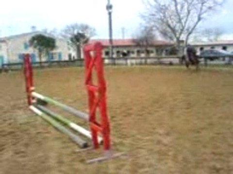 sandra gros jettage de corp qur taille E4-E3 ( = 50-55cm )