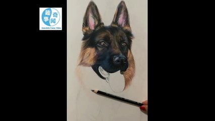 [anecdote]Too realistic, sketching a dog