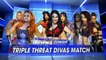 WWE Brie Bella vs Becky Lynch vs Sasha Banks show