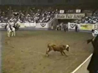 Bucking the Myth MPEG