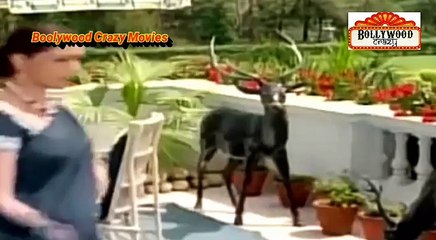 Yeh Raaste Hain Pyaar Ke Hindi Movie Part 3/3 ❇⬛❇ Boolywood Crazy Cinema
