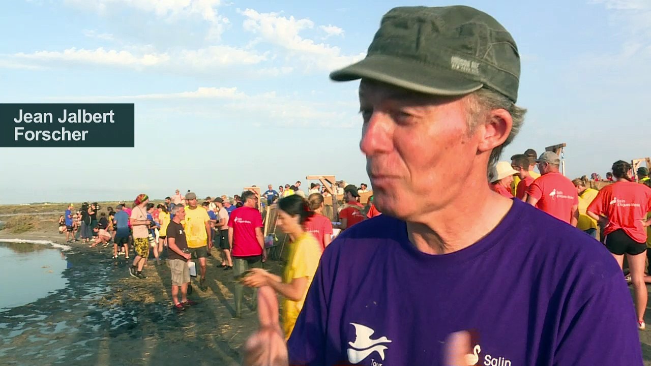 Den Geheimnissen der Flamingos auf der Spur