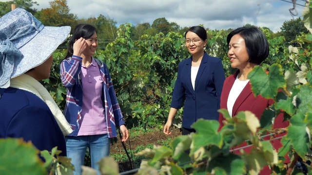 The Lord Jesus Christ Is Come | The Voice of God | Christian Movie Trailer Knocking at the Door