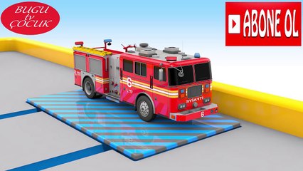 - Çocuklar İçin Rakamlar Sayılar