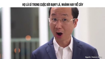 HỌ LÀ GÌ TRONG CUỘC ĐỜI BẠN? LÁ, NHÁNH HAY RỄ CÂY